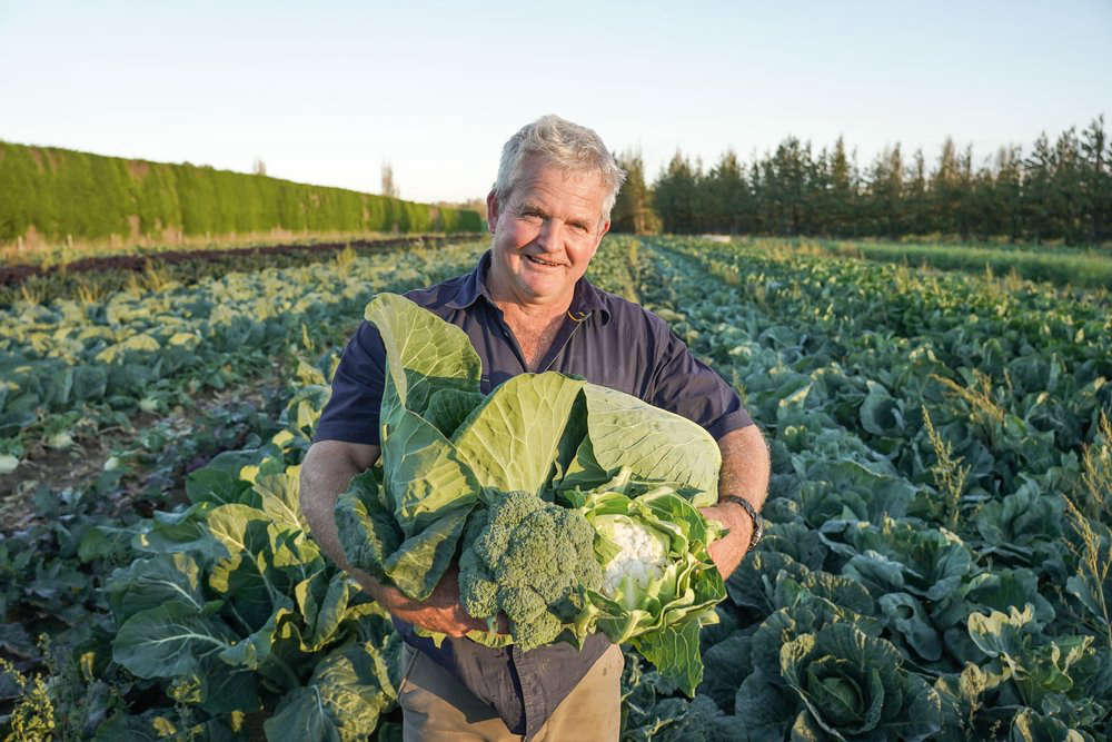 Wilsons Veges Farm Fresh